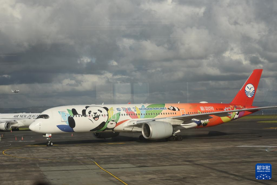 国际航线密集"上新" 成渝开放展现新活力