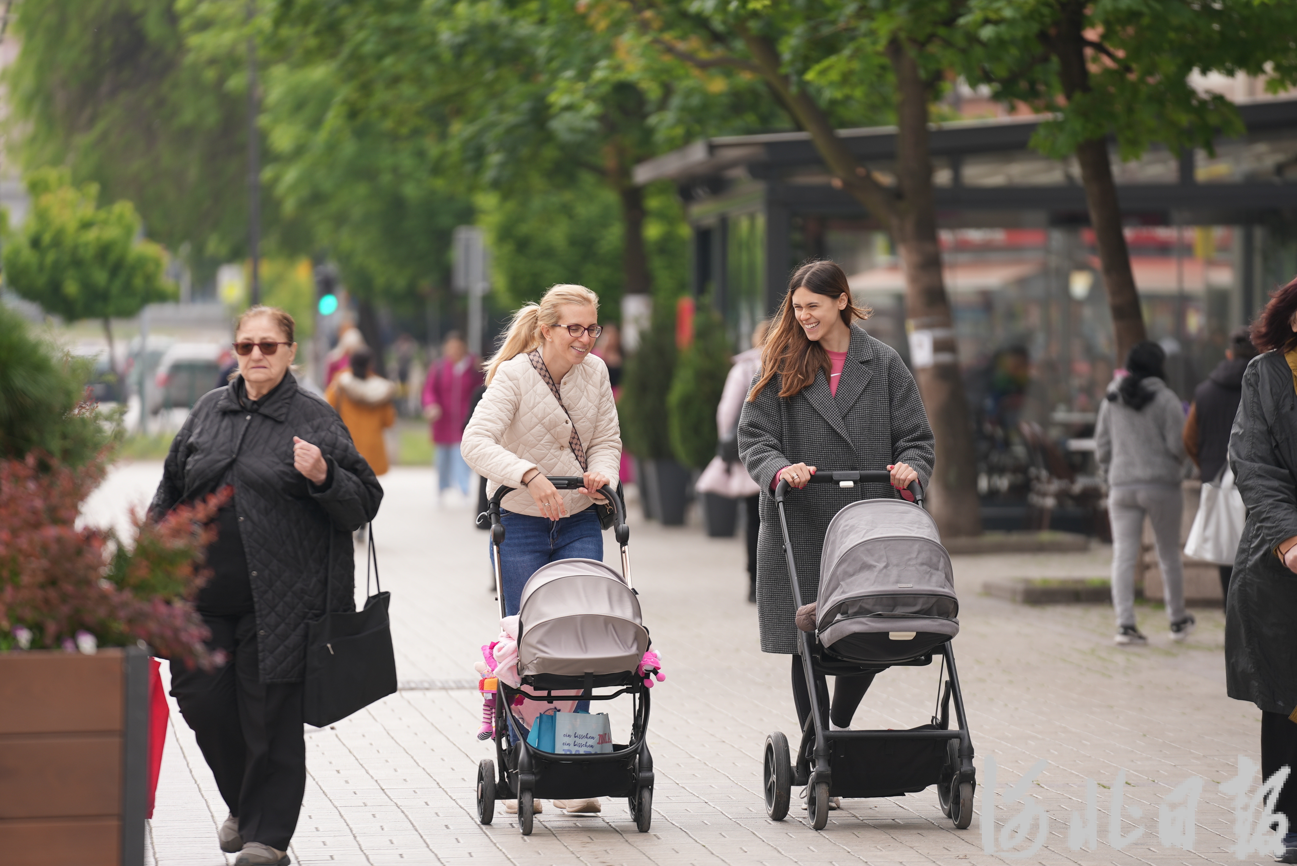 影像記錄 | “塞爾維亞的驕傲”又回來了