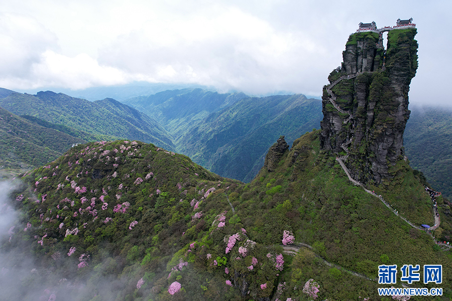 貴州梵凈山：繁花似錦醉遊人