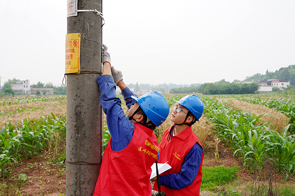复苏的步伐｜眉山仁寿：“满格电”护航粮食颗粒归仓_fororder_电力工人检修线路