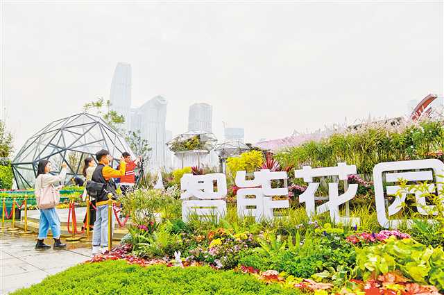 【要闻 摘要】重庆：城市花博会 处处是风景