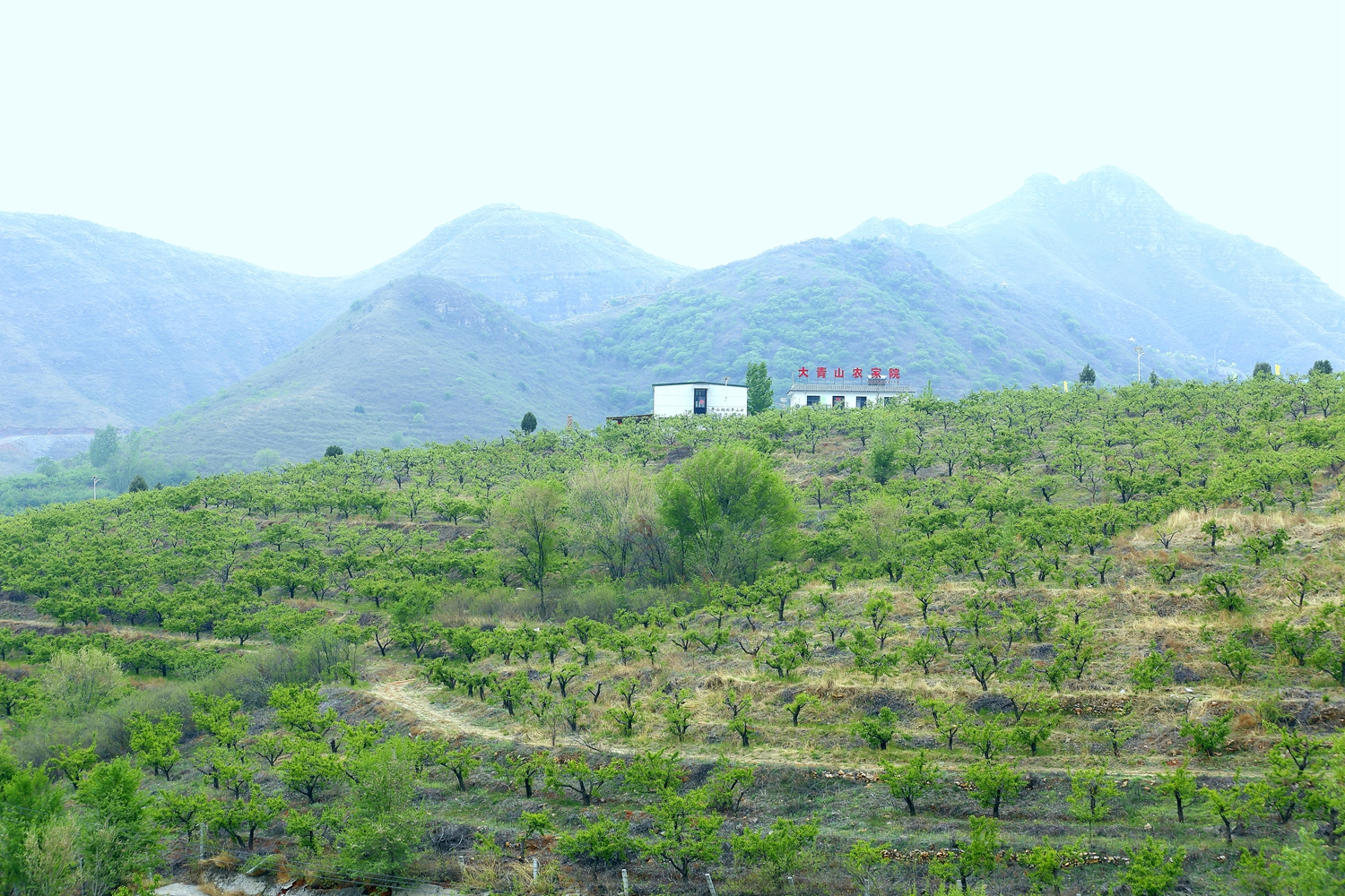 保定龙门山庄图片