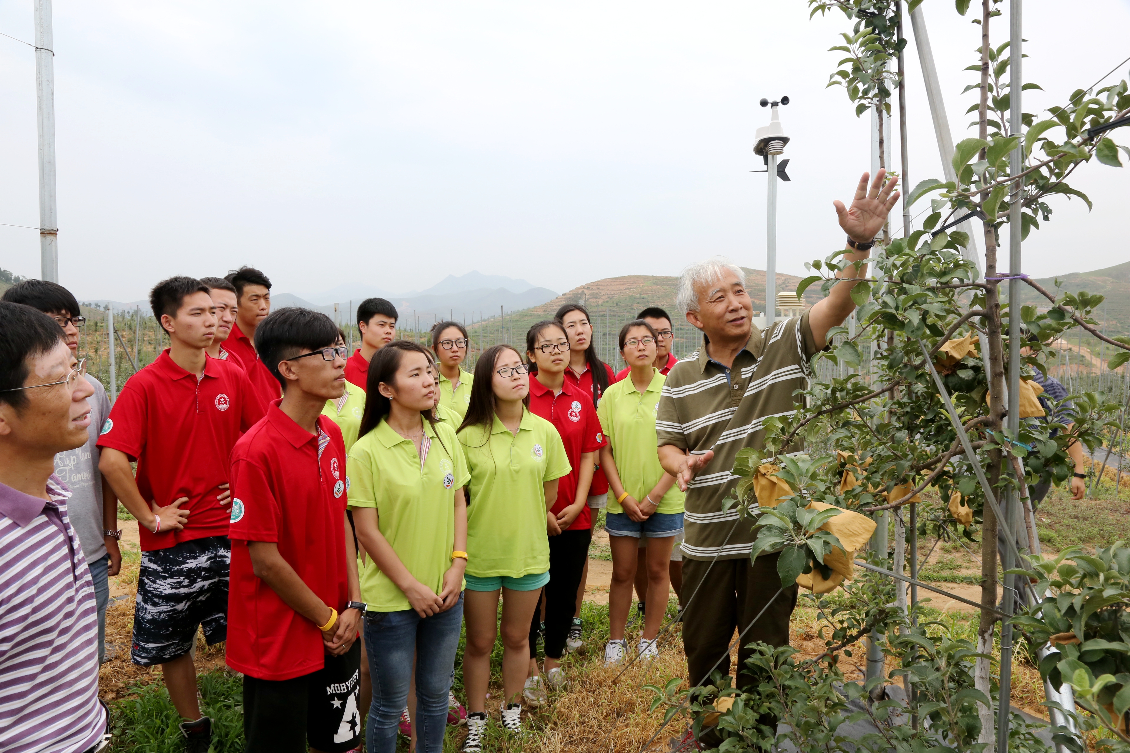 河北農業大學： 拓展“太行山道路” 農業創新驛站助力鄉村振興_fororder_孫建設教授在順平指導蘋果栽培技術1.JPG
