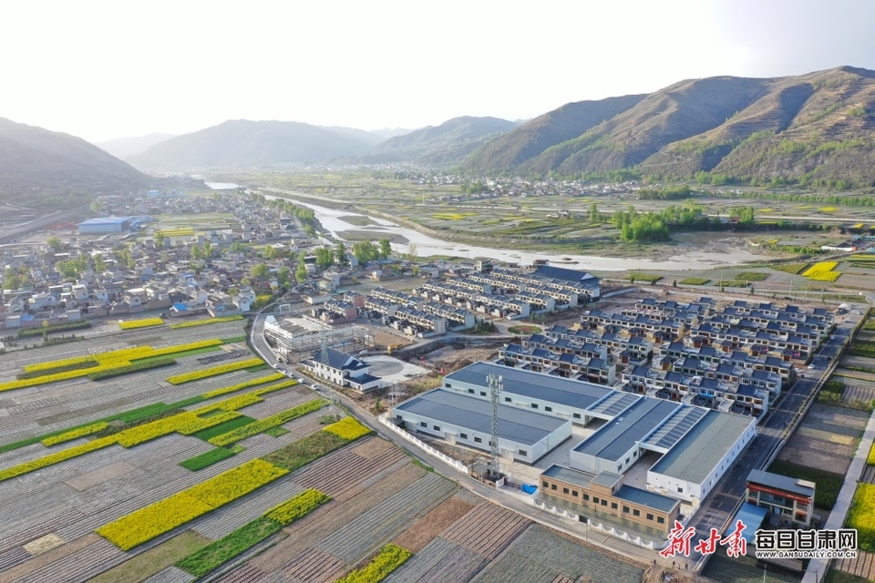 定西:油菜花开十里香 岷县田园处处景