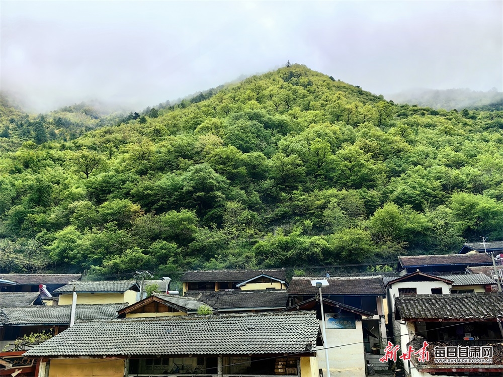 【文旅】甘肃舟曲：青山逶迤染翠色 云雾缭绕似桃源_fororder_4