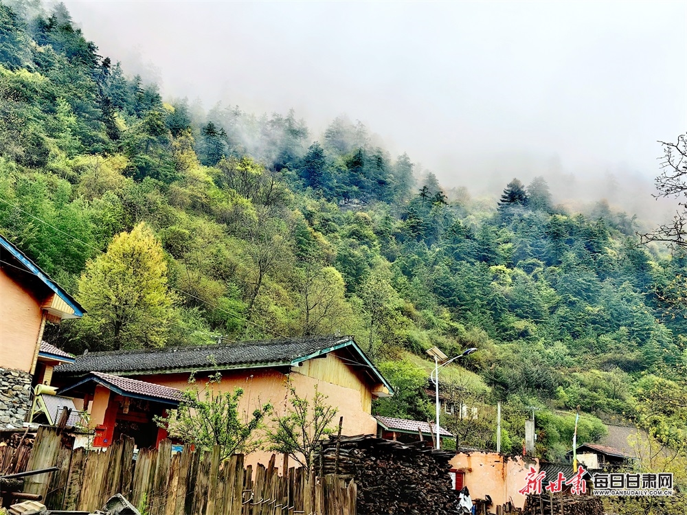 【文旅】甘肃舟曲：青山逶迤染翠色 云雾缭绕似桃源_fororder_2