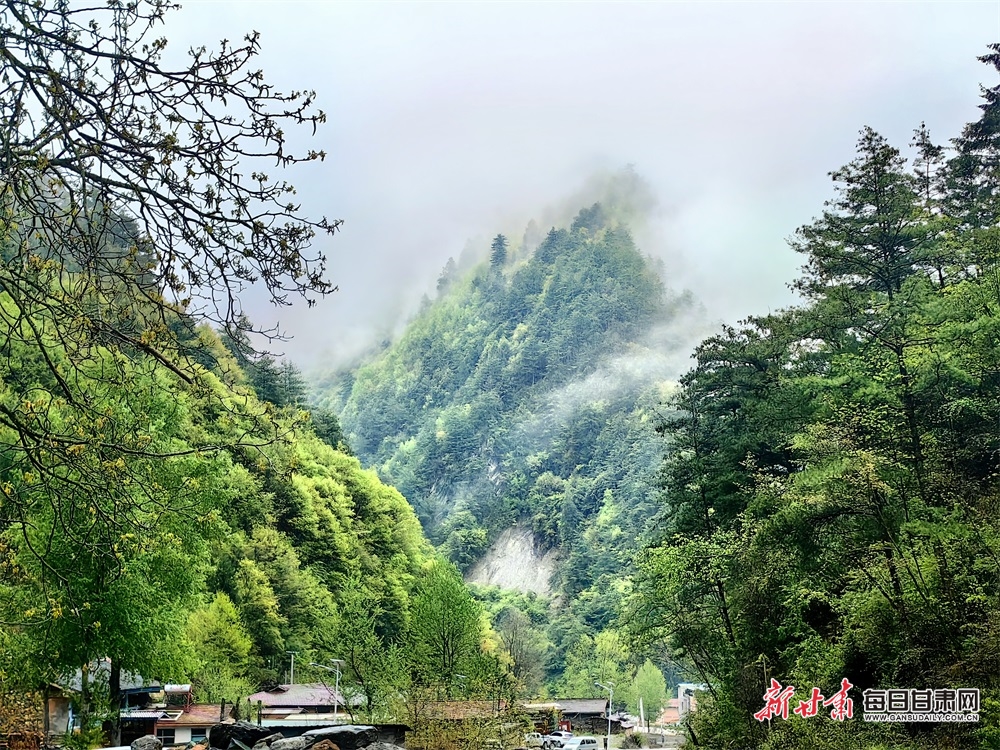 【文旅】甘肃舟曲：青山逶迤染翠色 云雾缭绕似桃源_fororder_3