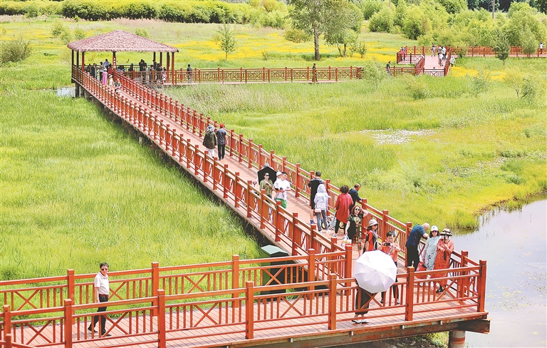 醉龙江|湿地公园欢乐多 “端午”踏青氛围浓