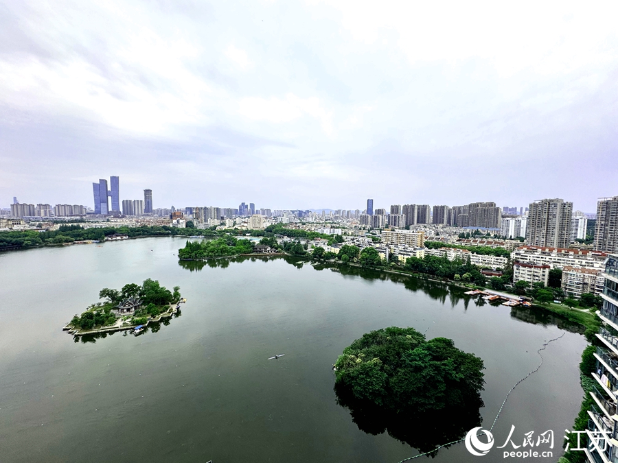 南京：城市“鋼鐵森林”間有座“生態鳥島”