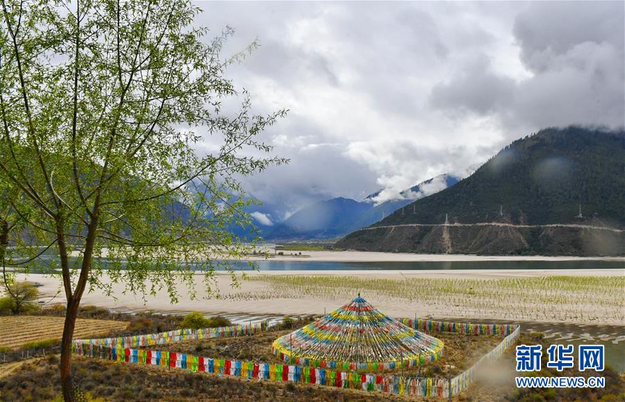 西藏雅尼國家濕地公園春色怡人