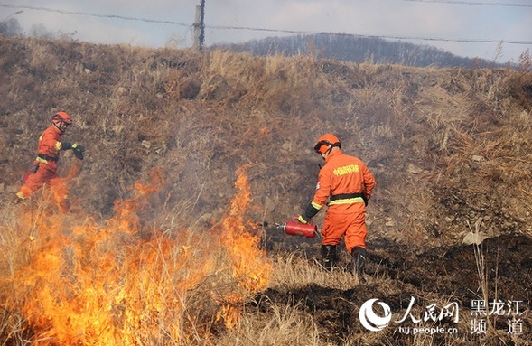 哈尔滨森林消防开展秋季计划烧除 清除可燃物载量主动预防火灾