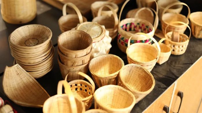 （转载）崇州一竹一茶，折射成都高水平开放