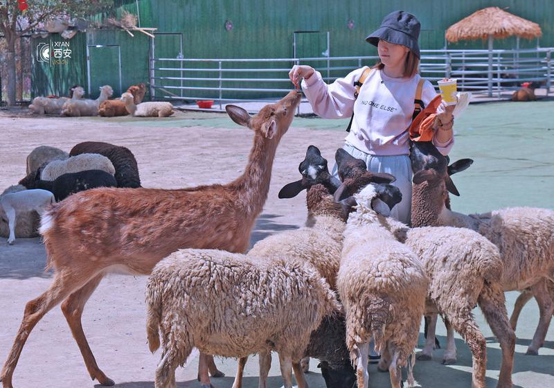 生态美域 泾河新城
