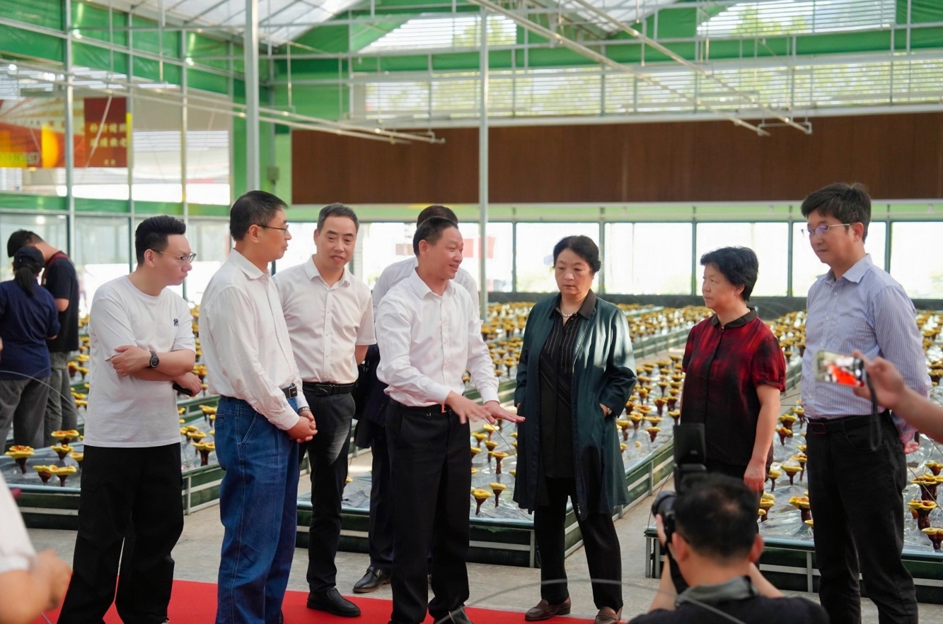 共绘食药同源新篇章 第四届中国“浙产名药”暨食药两用产业共创发展大会开幕_fororder_微信截图_20240512125457