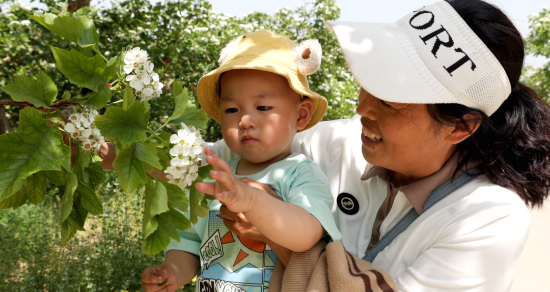 邢臺清河:山楂花開香滿園_fororder_48cbc650d74f096974d3c882c1cd3f6d_