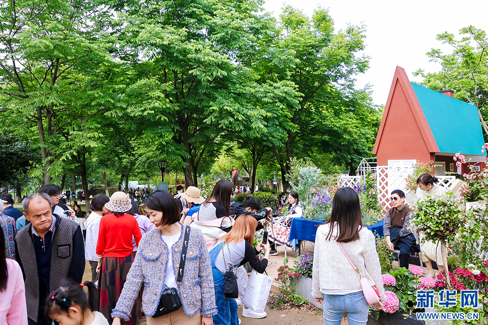 聚焦高品質發展丨花園裏的大武漢，家園裏的大花園