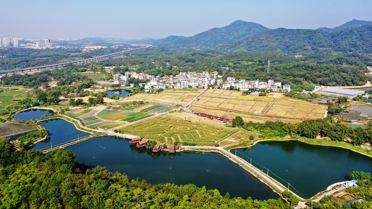 广东省“百千万工程”年度考核成绩出炉 广州黄埔获评“创先类”优秀区_fororder_黄埔2