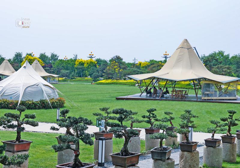 生态美域 泾河新城