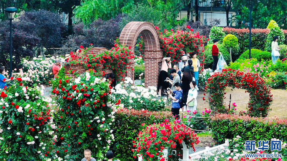 聚焦高质量发展丨花园里的大武汉，家园里的大花园