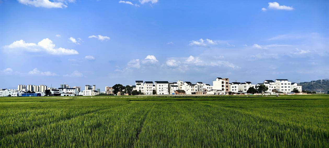 广西田东：学习运用“千万工程”经验 加快建设宜居宜业和美乡村_fororder_图片1