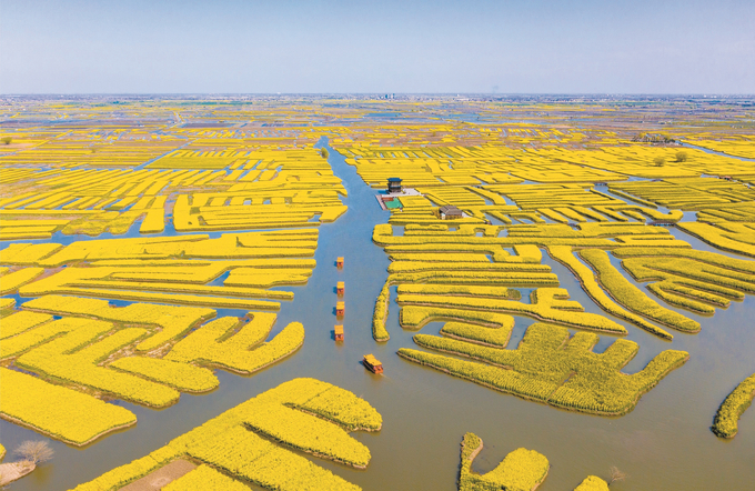 泰州兴化垛田：惊艳世界的遗产之路_fororder_ba5bd47a-d830-43e9-8193-dde7049a62b2