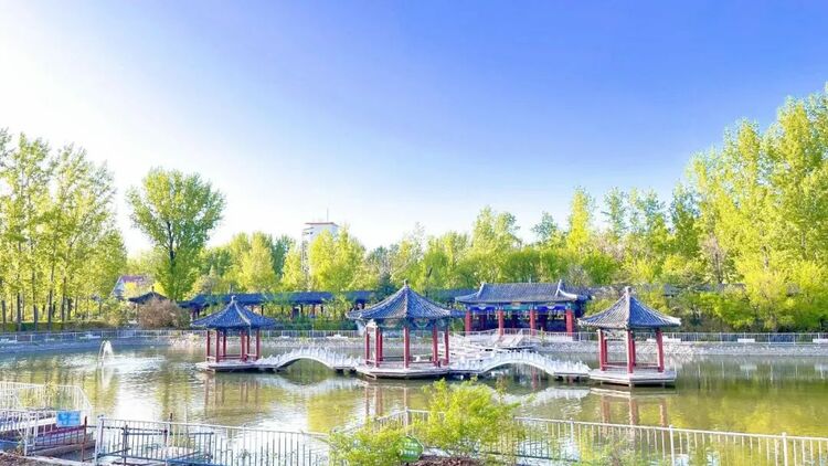 第十二届国际名校来了择校展丨北京德闳学校受邀出席 招生官一对一现场指导！_fororder_1