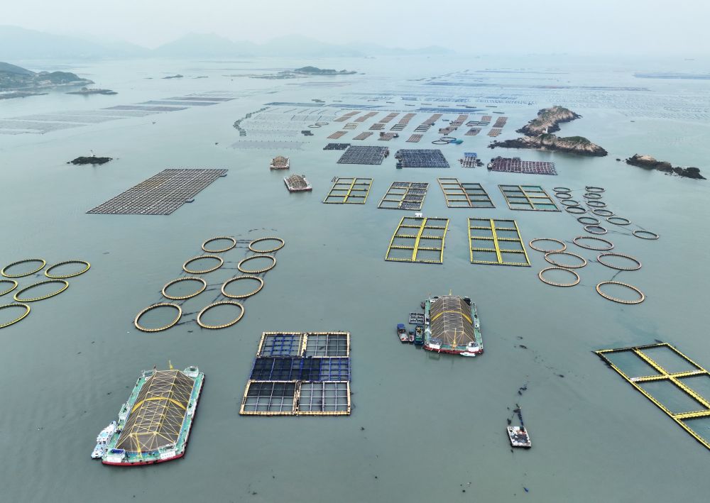 丰富食物“资源库” 唱好农业“山海经”——福建深入践行大食物观的经验启示