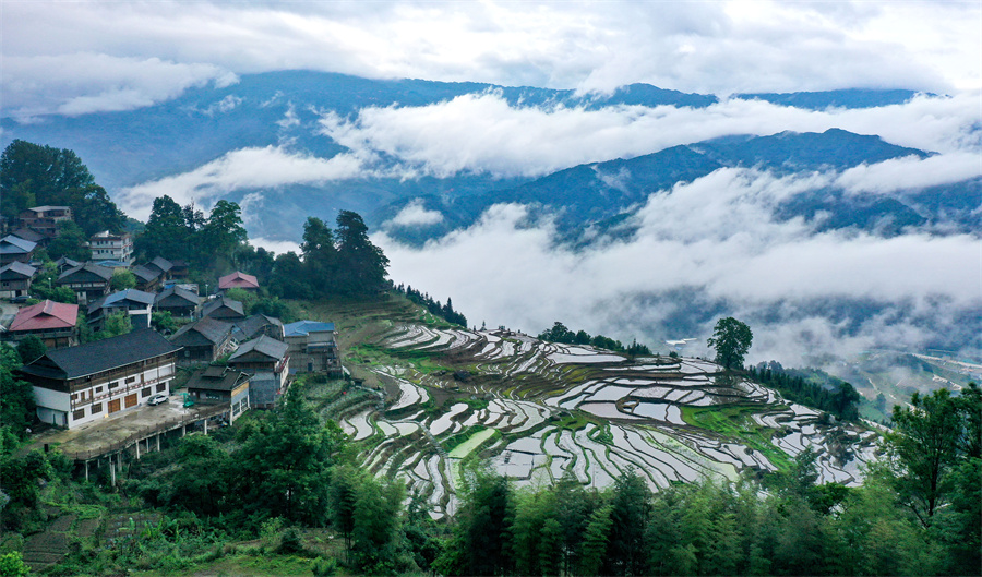 广西龙胜：和美乡村 夏景如画_fororder_5月12日，在广西桂林市龙胜各族自治县泗水乡拍摄的小岩底梯田云海景观。 (5).JPG