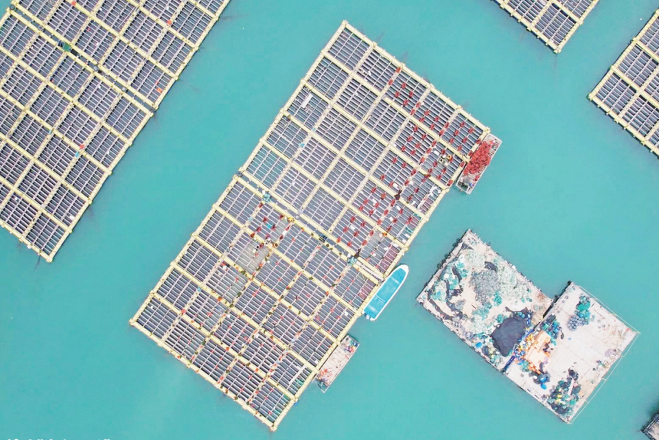 漳州東山：打造升級版“海上田園”_fororder_微信截圖_20240516093646