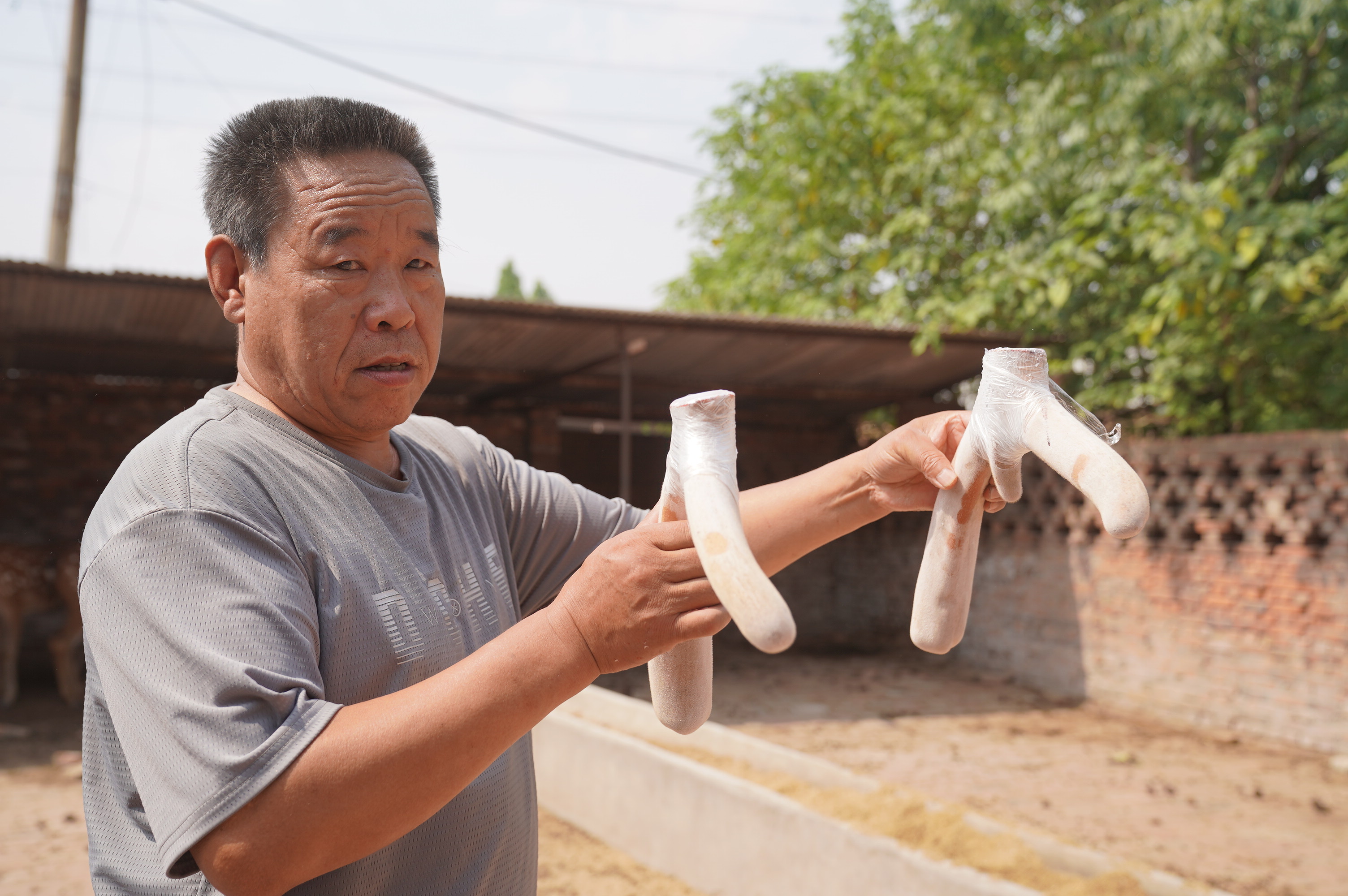 河北邢台经济开发区：乡村振兴 致富有“鹿”_fororder_4.JPG