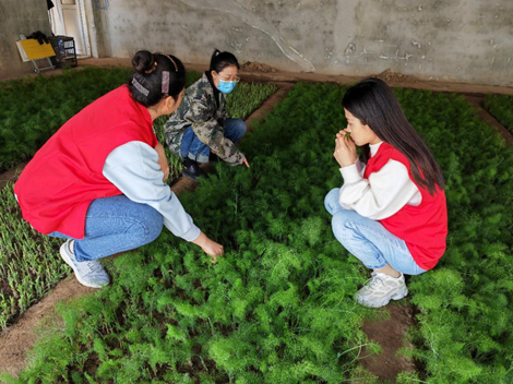 河北海興：“巾幗科技助農直通車”成為暖心“便民車”_fororder_圖片 2