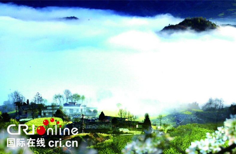 十堰市旅游委推出8条十堰茶文化游精品线路 十堰市旅游委推出8条十堰茶文化游精品线路