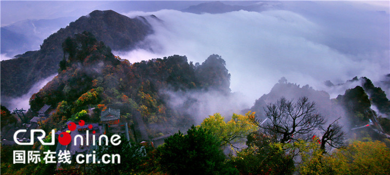 十堰市旅游委推出8条十堰茶文化游精品线路 十堰市旅游委推出8条十堰茶文化游精品线路