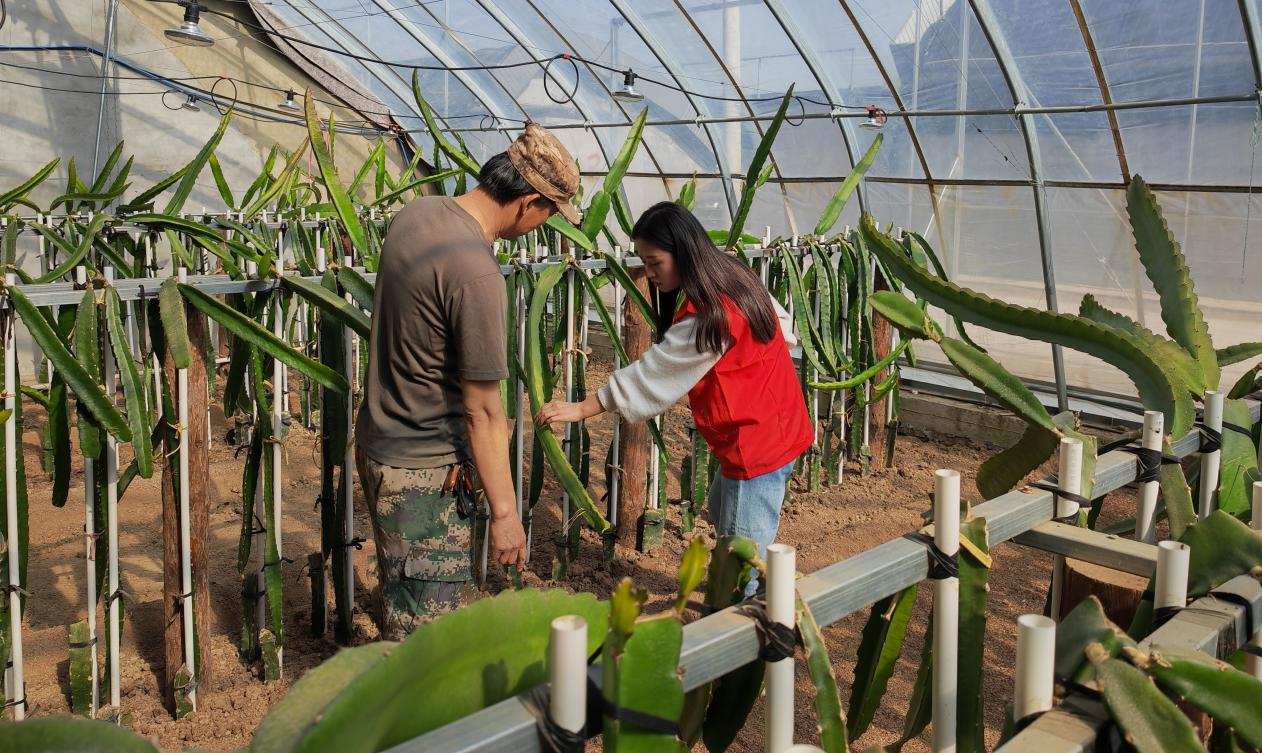 河北海興：“巾幗科技助農直通車”成為暖心“便民車”_fororder_圖片 4