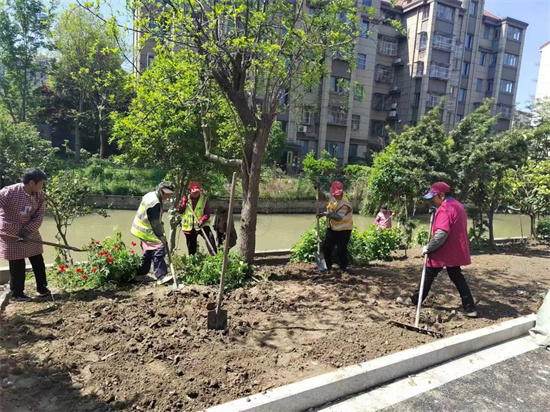 南通崇川城東街道：譜寫綠色三部曲 共繪生態新畫卷_fororder_圖片11