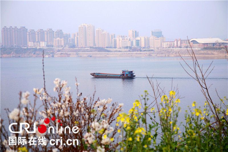 十堰市旅游委推出8条十堰茶文化游精品线路