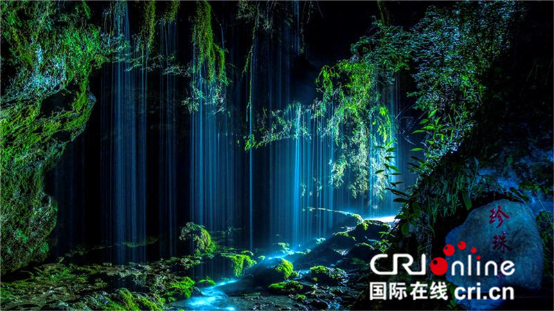 湖北郧西“第三届中国天河玫瑰·樱桃节”开幕