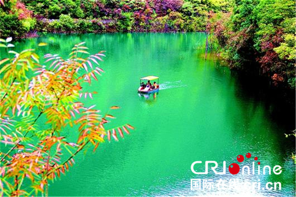 湖北郧西“第三届中国天河玫瑰·樱桃节”开幕