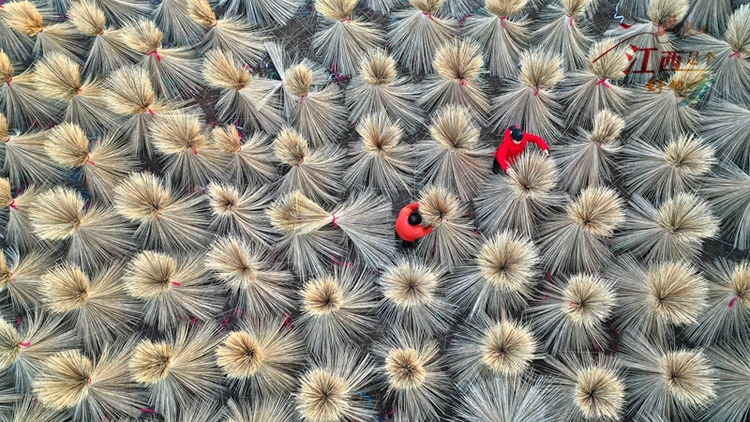 【江西是個好地方】江西把小竹子做成大産業_fororder_微信圖片_20240517105152