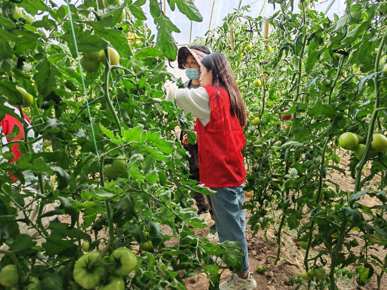 河北海興：“巾幗科技助農直通車”成為暖心“便民車”_fororder_圖片 1