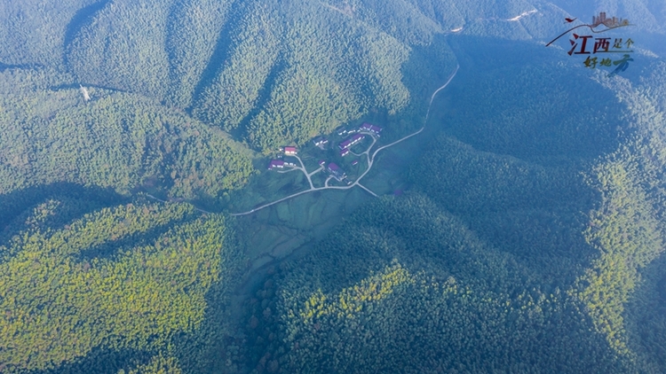 【江西是個好地方】江西把小竹子做成大産業_fororder_微信圖片_20240517105148