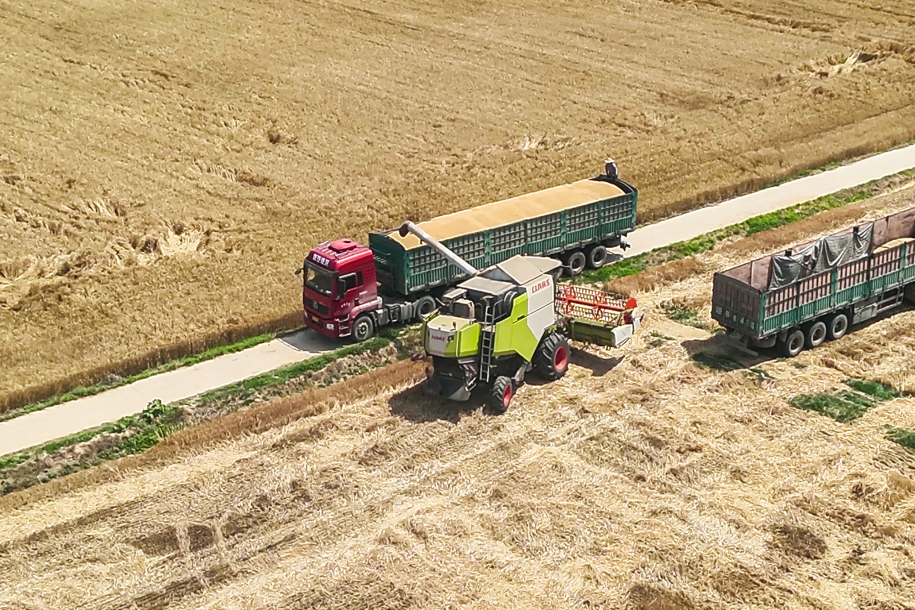 河北定兴：高标准农田麦浪翻涌奏响“丰收曲”_fororder_003