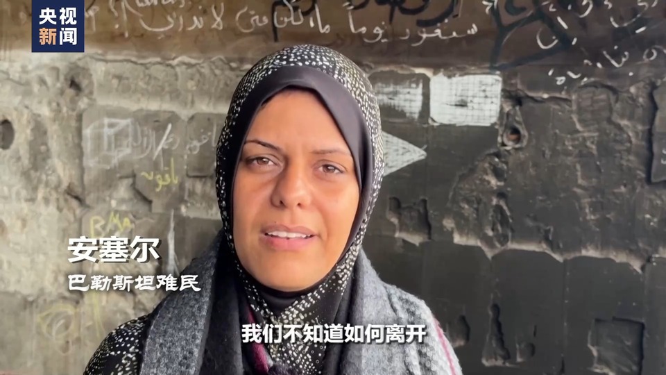 世界周刊丨巴勒斯坦"灾难日"