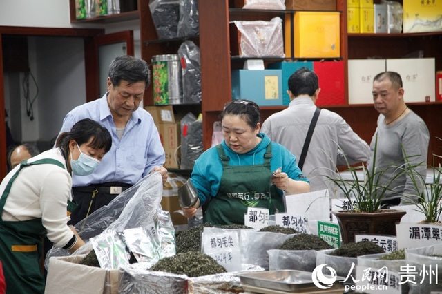 2024"国际茶日"·"贵州绿茶"品茗活动在贵阳启动