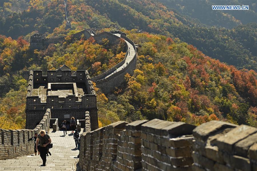 Autumn scenery at the Mutianyu Great Wall in Beijing