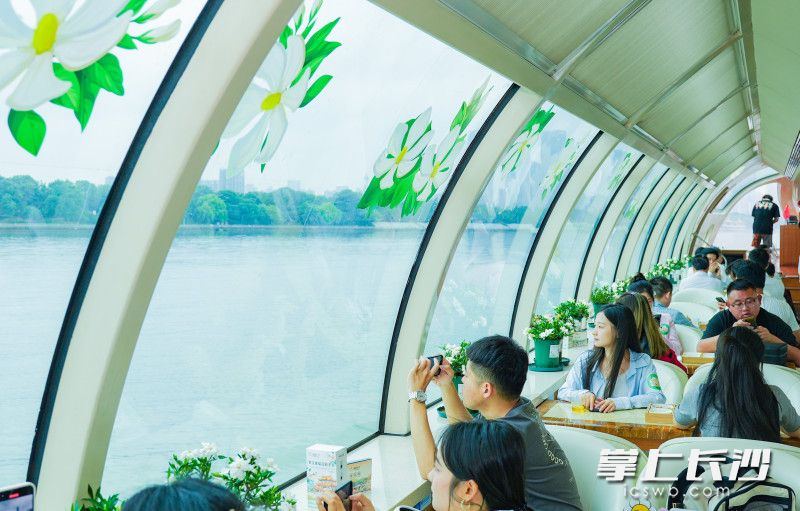 組圖丨梔子花香飄橘子洲_fororder_11