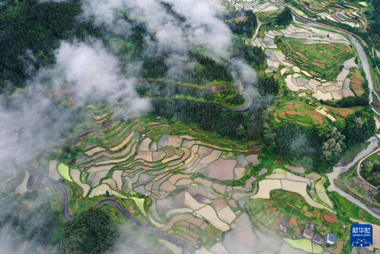 贵州黎平：梯田新雨后 美景入画来