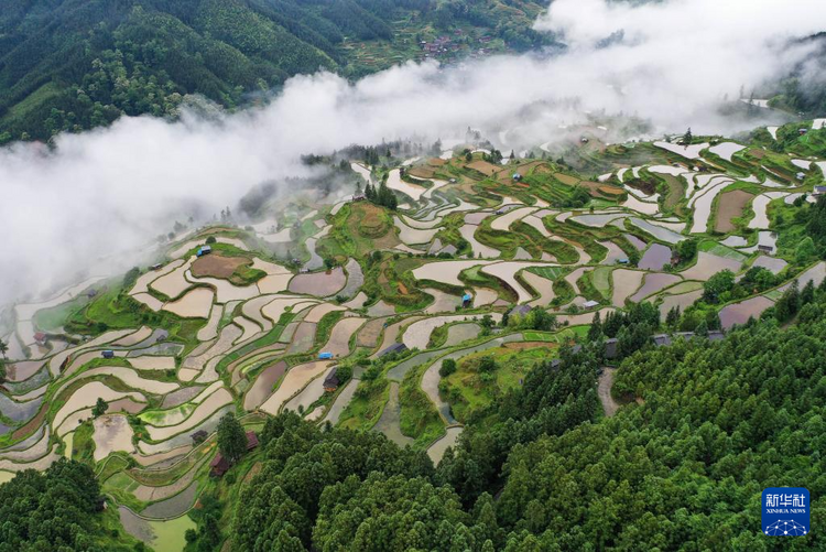 贵州黎平：梯田新雨后 美景入画来