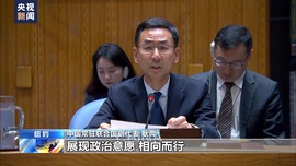 中國代表呼籲推動烏克蘭危機早日得到政治解決