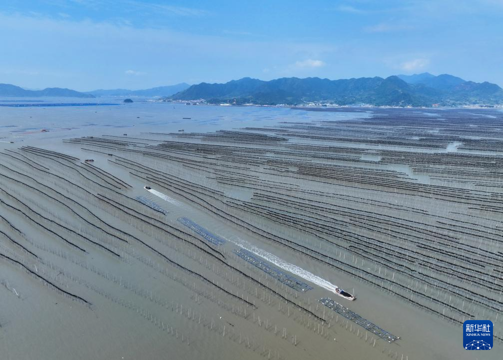 福建：耕海牧渔 建设“海上粮仓”